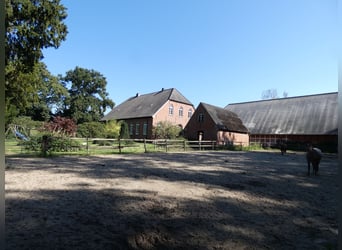 Historischer Gutshof in traumhafter Lage mit viel Land Historischer Gutshof in traumhafter Lage mit viel Land