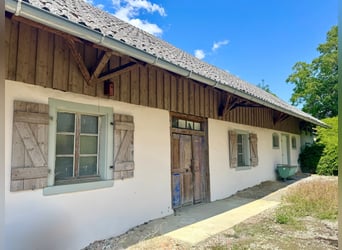 Historisches Hofgut mit Landwirtschaft auf 40 ha arrondierter Fläche & Pferdehaltung, nahe Bodenseeu