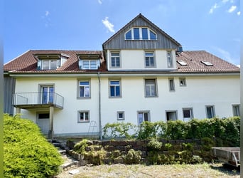 Historisches Hofgut mit Landwirtschaft auf 40 ha arrondierter Fläche & Pferdehaltung, nahe Bodenseeu
