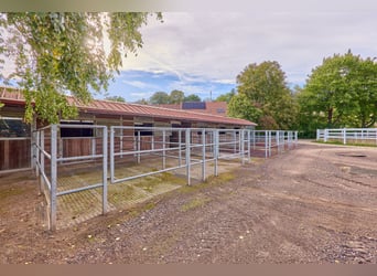 Historisches Wasserschloss mit gepflegter Reitanlage in Rheinhessen!