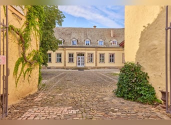 Historisches Wasserschloss mit gepflegter Reitanlage in Rheinhessen!