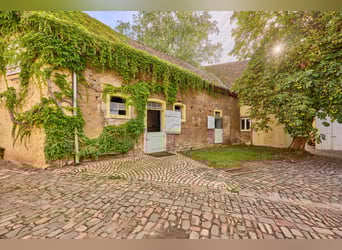 Historisches Wasserschloss mit gepflegter Reitanlage in Rheinhessen!