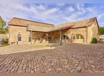 Historisches Wasserschloss mit gepflegter Reitanlage in Rheinhessen!
