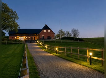 Hyggeliges Landhaus mit hochwertigem Pferdebereich in Sønderjylland in Traumlage