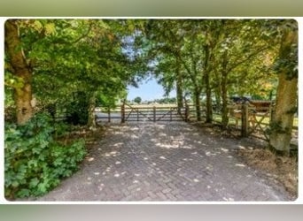 Idyllische paardenboerderij Kootwijkerbroek Veluwe te koop
