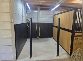 Innen und außen Stall. 