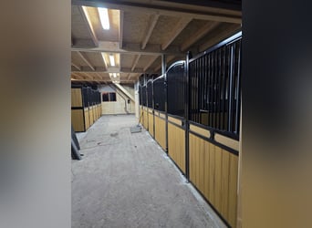 Innen und außen Stall. 