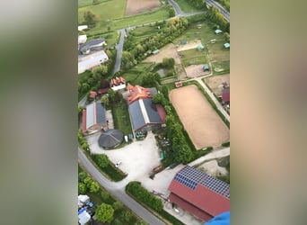 Kompletter Pferdestall 15 Paddock Boxen + 8 Offenstall Plätze + Halle + Dressur Platz Für 2000 € i.M