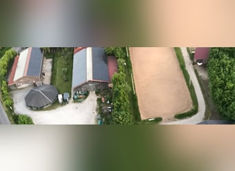 Kompletter Pferdestall 15 Paddock Boxen + 8 Offenstall Plätze + Halle + Dressur Platz Für 2000 € i.M
