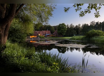 Landgoed van ca. 6 Ha met karakteristieke kasteelhoeve en prachtige parktuin