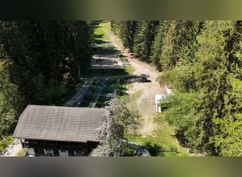 Landgut bei Birkfeld (Steiermark) - Pferdehaltung für bis zu 5 Pferde direkt am eigenen Zuhause