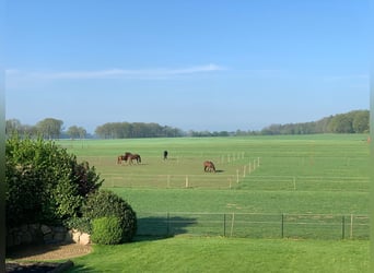 Landhaus für Pferdeliebhaber mit traumhaftem Blick