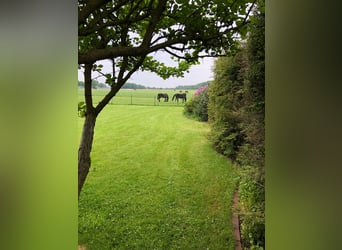 Landhaus für Pferdeliebhaber mit traumhaftem Blick