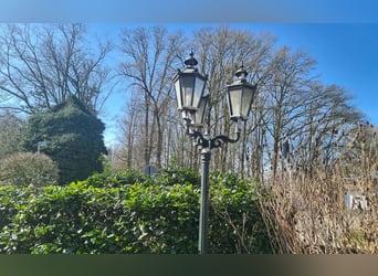 Landhaus mit Pferdestall   -  Kreis Kleve NRW