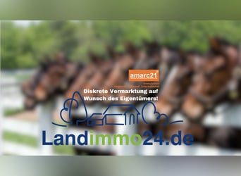 Luxuriöse Profi-Reitsportanlage zu verkaufen