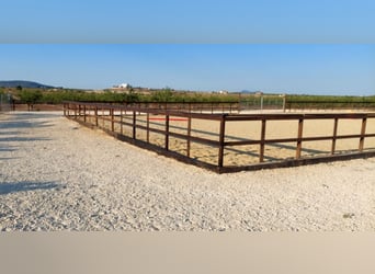 LUXURY EQUESTRIAN ESTATE WITH LUXURY LANDHOUSE