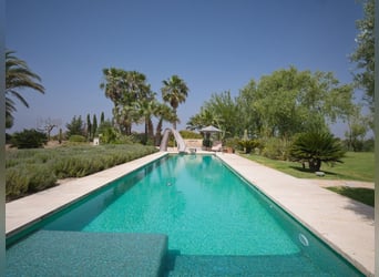 Mallorca - Finca mit Möglichkeit zur Pferdehaltung und tollem Ausreitgebiet