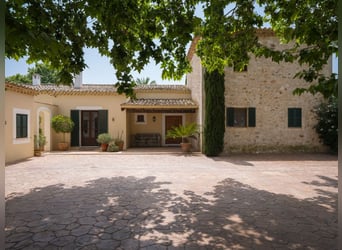 Mallorca - Finca mit Möglichkeit zur Pferdehaltung und tollem Ausreitgebiet