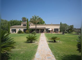 Mallorca - Finca mit Möglichkeit zur Pferdehaltung und tollem Ausreitgebiet