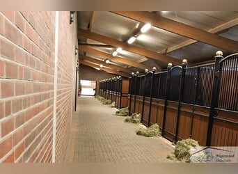 Moderne, Profi Reitanlage mit Privatspäre nähe Deutschland, NL