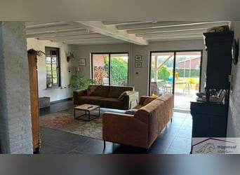 Moderne, Profi Reitanlage mit Privatspäre nähe Deutschland, NL