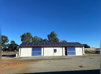 Moderne Reitanlage auf ca. 10 Hektar zwischen Sevilla, Huelva und Atlantikküste