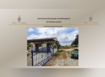 Moderne Reitanlage auf ca. 10 Hektar zwischen Sevilla, Huelva und Atlantikküste