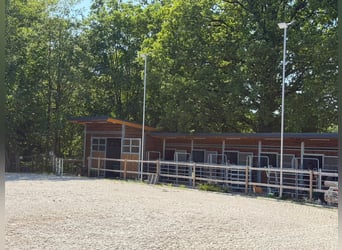 Modernes Haus mit Reitanlage Stall Wohnen mit Pferden