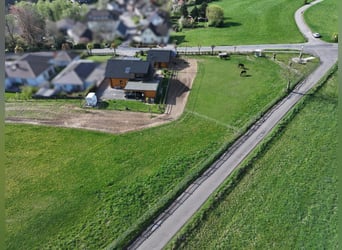 Modernes Holzblockhaus mit Offenstall in schöner Aussichtslage
