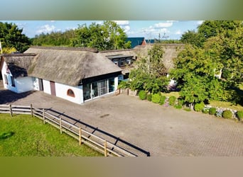 Paradies für Pferdeliebhaber: Reetdachanwesen auf ca. 3,38 ha großen Grundstück mit Nebengebäuden