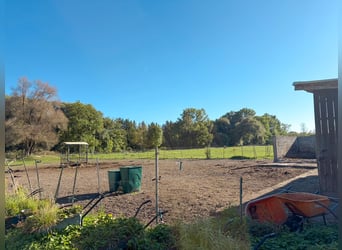 Pferdehaltung auf ca. 1,7 ha Eigenland vor den Toren Münchens