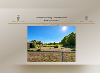 Pferdehaltung auf ca. 1,7 ha Eigenland vor den Toren Münchens