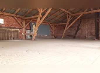 Pferdehof auf 5,7 ha! Traumhaftes Anwesen mit Reetdachhaus, Gästehaus & Stall i.d. Lüneburger Heide