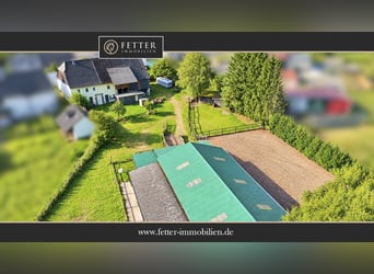 Pferdehof in Rheinland-Pfalz mit 8 Pferdeboxen und kleiner Halle in Niederhambach!
