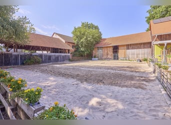 Pferdehof kaufen in Enkenbach-Alsenborn – mit neuwertigem Wohnhaus in idyllischer Lage