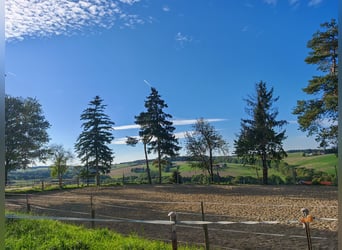 Pferdehof -Landwirtschaft östlich von München