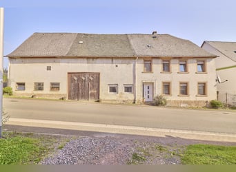 Pferdeimmobilie im Kreis Birkenfeld mit kleiner Reithalle und Pferdeboxen in Niederhambacher Waldran