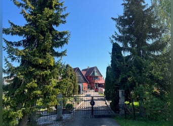 Pferdeparadies - romantischer Reiterhof mit Reithalle, 6 Boxen & Wohnhaus
