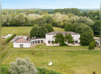 Prachtige villa met hippische accommodatie en graslanden op +/- 23hectare - 9800 DEINZE