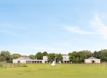 Prachtige villa met hippische accommodatie en graslanden op +/- 23hectare - 9800 DEINZE