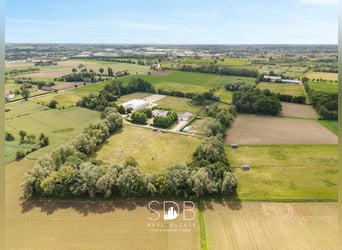 Prachtige villa met hippische accommodatie en graslanden op +/- 23hectare - 9800 DEINZE