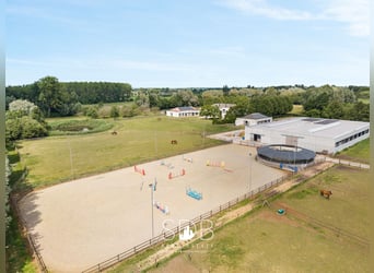 Prachtige villa met hippische accommodatie en graslanden op +/- 23hectare - 9800 DEINZE