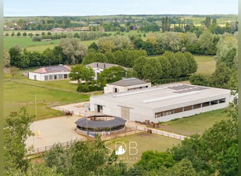 Prachtige villa met hippische accommodatie en graslanden op +/- 23hectare - 9800 DEINZE