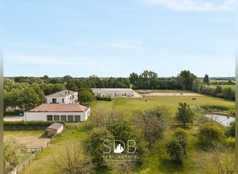 Prachtige villa met hippische accommodatie en graslanden op +/- 23hectare - 9800 DEINZE