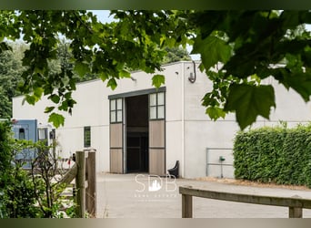 Prachtige villa met hippische accommodatie en graslanden op +/- 23hectare - 9800 DEINZE