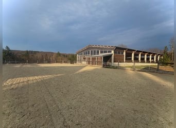 Privat-Reitanlage im Wienerwald