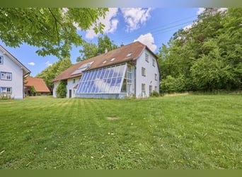 Private Pferdeimmobilie im Landkreis Ravensburg mit mehreren Wohnhäusern & See-Zugang!
