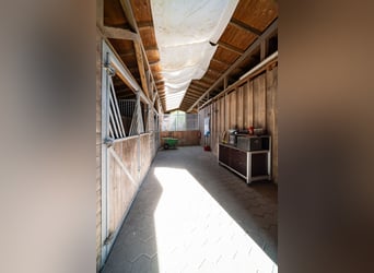 Private Reitanlage mit historischem Wohngebäude in idyllischer Lage
