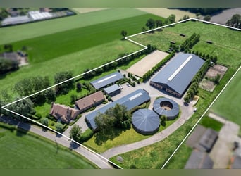 Professioneel hippisch eigendom met luxe villa op ca. 3,5 Ha