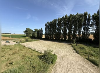 Professioneller Reitstall in Seine-et-Marne